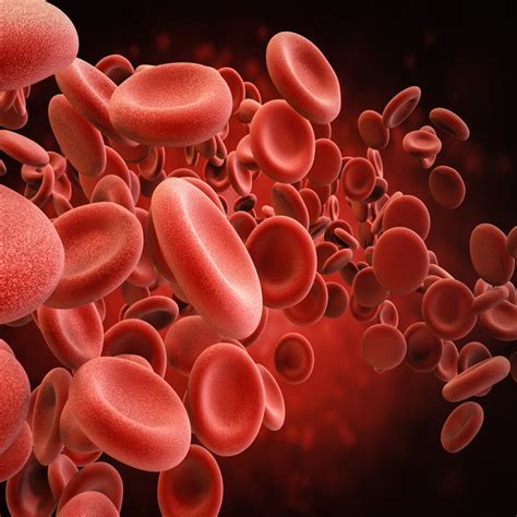 Crp Yüksekliği Neyi Gösterir? - Kadın Hastalıkları