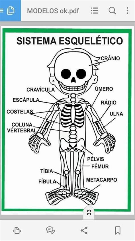 Pin De Caro González En Ciencias Naturales Esquema Del Cuerpo Humano