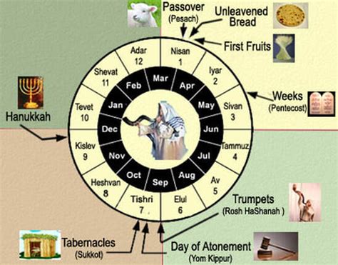 Parashat Emor 5780 2020 Understanding The Mikraei Kodesh Feasts