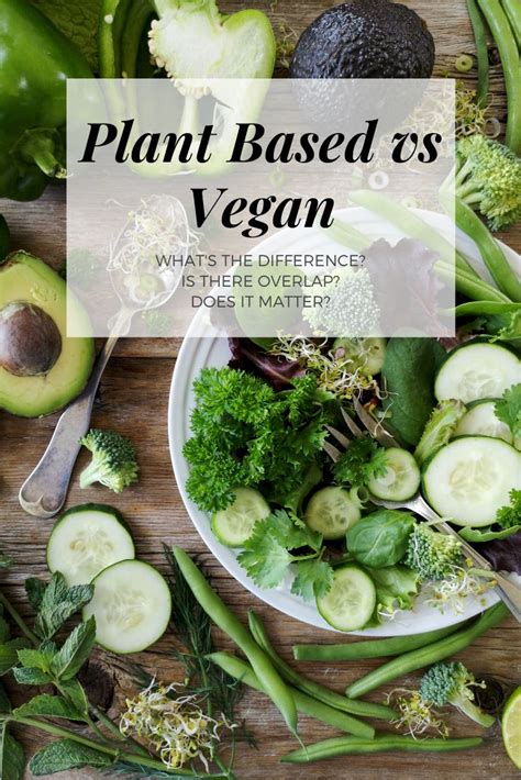 plant based vs vegan what s the difference plant based vegan diet plant based going vegan
