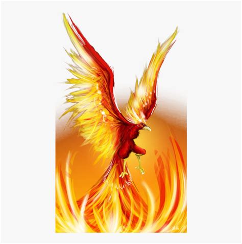 Fire Wing Png Best Logo For School Elections Transparent Png