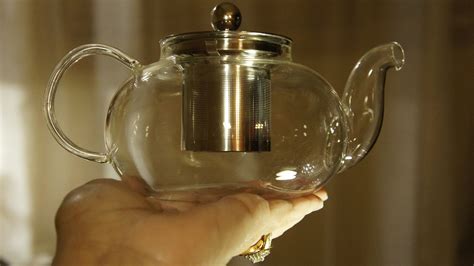 Small Glass Teapot With Stainless Steel Infuser By Hiware ~ Let Me