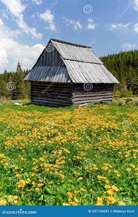 A Wooden Hut In A Mountain Glade Tatra Mountains Poland Stock Image