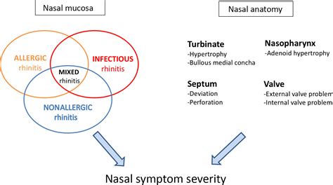 Non‐allergic Rhinitis Position Paper Of The European Academy Of