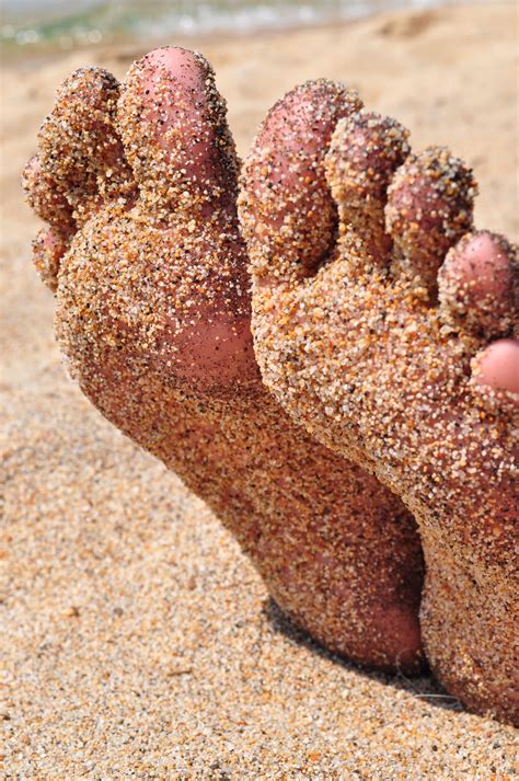 Free Photo Sandy Feet Feet Footprint Sand Free Download Jooinn
