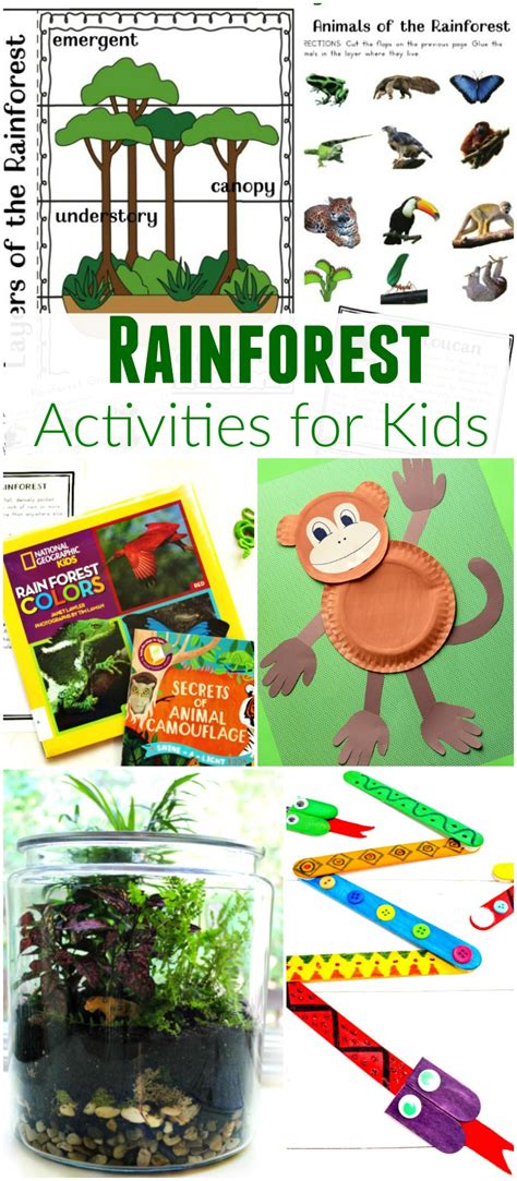 Sheenaowens Rainforest Crafts For Kids