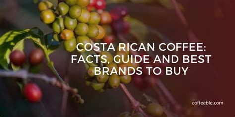 It is an area in west valley, so we know from where beans used by this product. Costa Rican Coffee: Facts, Guide and Best Brands to Buy