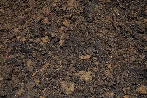 Dirt Soil Potting Mix Ground Mud Planting Seedling Nature