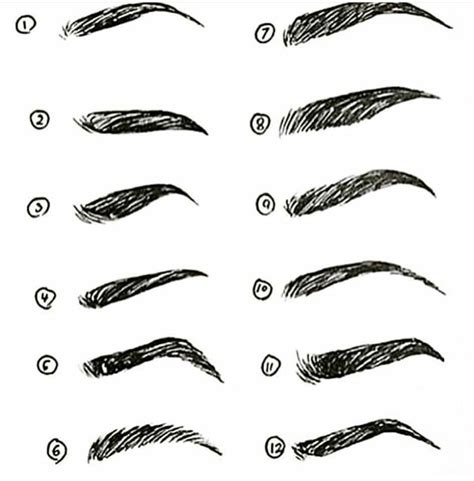 Eyebrow Types Drawings Art Drawings Sketches Sketches