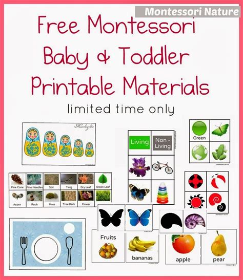 Montessori Worksheet Free Printable
