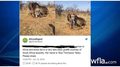 American Woman Who Killed Giraffe Says It Was Part Of Conservation Effort
