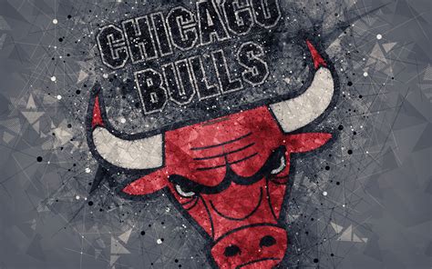 Chicago Bulls Logo