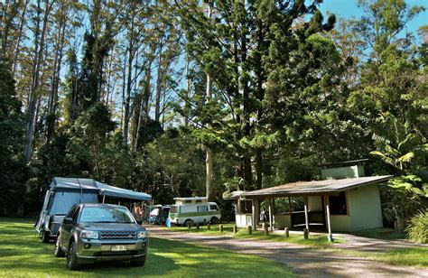 Rummery Park Campground Nsw National Parks