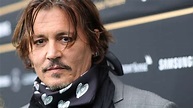 Johnny Depp renonce à son rôle dans la franchise «Fantastic Beasts» | 7 ...
