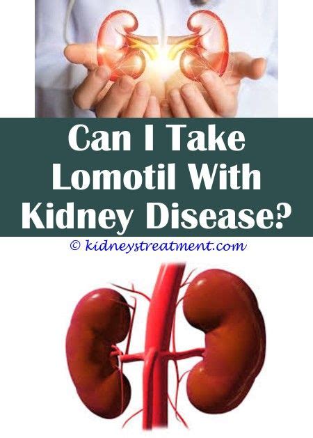 Pin On What Is Kidney Disease