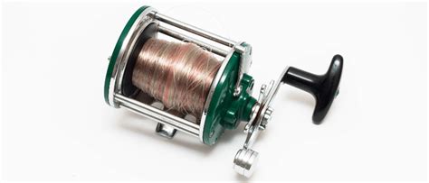 Demystifying Fishing Reel Types A Beginner S Guide The Fishing Lounge