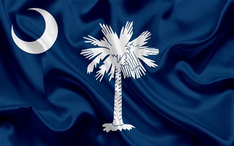The Flag Of South Carolina Is Waving In The Wind With A Crescent Moon