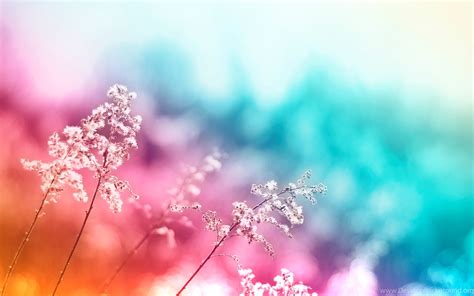 Pretty Colorful Backgrounds 63 Pictures