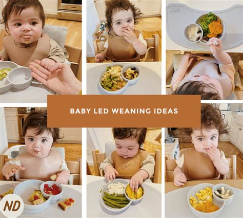 Baby Led Weaning Meal Ideas For The 1st Year New Darlings
