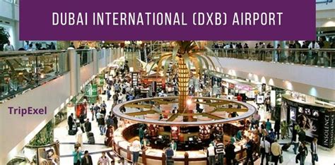 Dubai International Dxb Airport Guide Tripexel