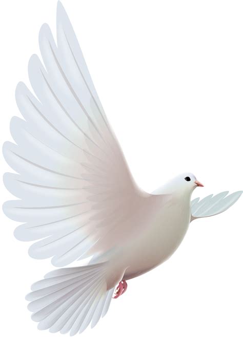 Dove Clipart Funeral Dove Funeral Transparent Free For Download On