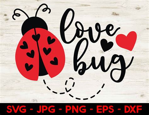 Love Bug Svg Ladybug Svg Lady Bird Svg Love Bug Cut File Etsy