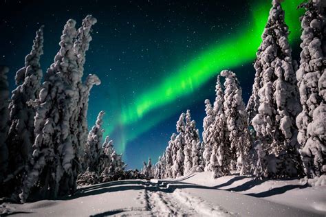 Northern Lights Photography Tour With A Professional Photography Guide