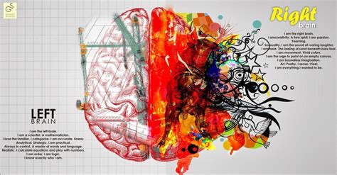 Left Brain Wallpapers Top Free Left Brain Backgrounds Wallpaperaccess