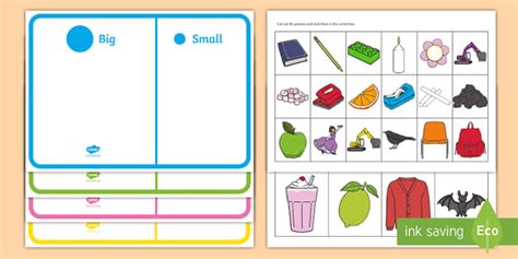Colour And Size Sorting Activity Teacher Made Twinkl