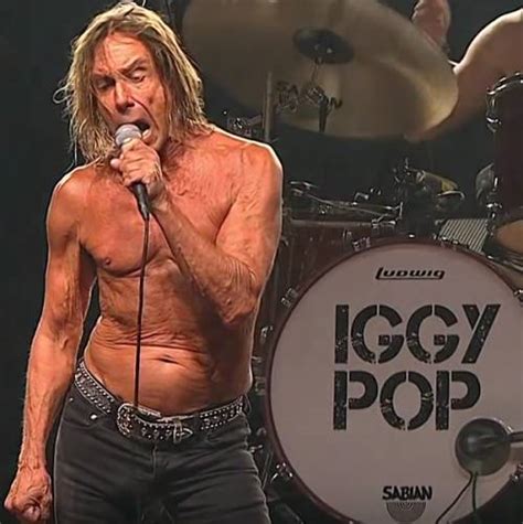After his previous band, the stooges collapsed, iggy pop (the stage name of james newell osterberg, jr.) initially struggled to establish a solo career. Iggy Pop's Cockatoo Biggy Pop Named Founding Patron Of ...