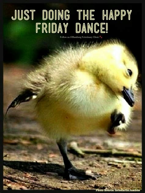 Come On Do The Dance With Me Di Happy Friday Dance Dancing Animals