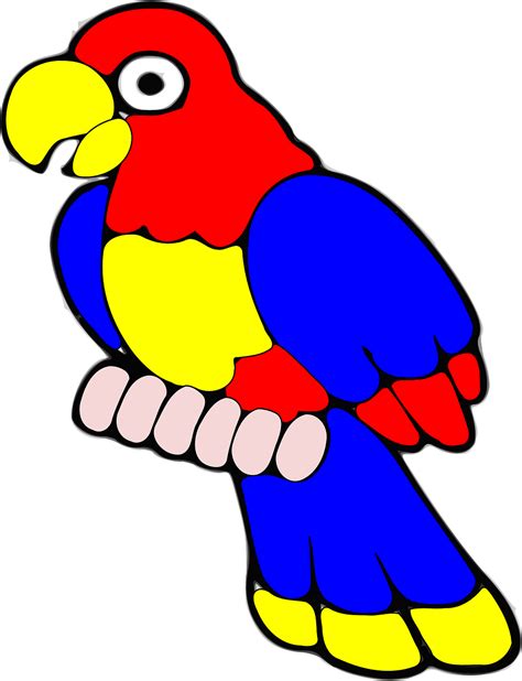 Parrot Bird Tropical Free Vector Graphic On Pixabay