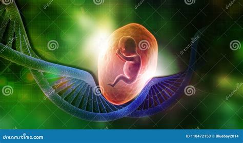 Dna With Fetus Stock Illustration Illustration Of Microbiology 118472150