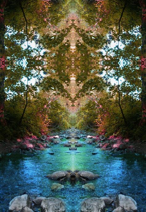 Deep Into Nature Psychedelic Nature Photography Nature Photography