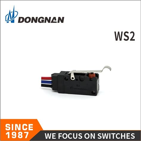 Automotive Micro Waterproof Switch Ws2 Conversion Normally Open And