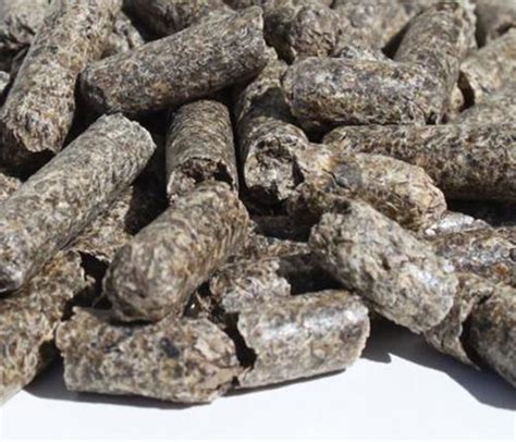 Sugar Beet Pulp Pellets Admixture 5 At Best Price In Kharkiv Llp