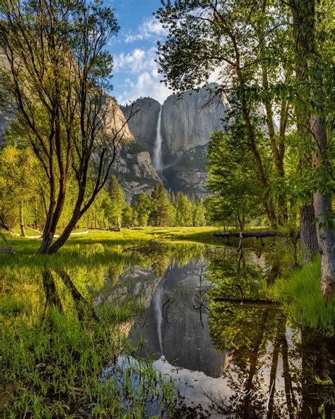 Yosemite Falls Reflection Yosemite National Park Jess Lee Photography