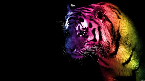 Colorful Tiger Wallpaper