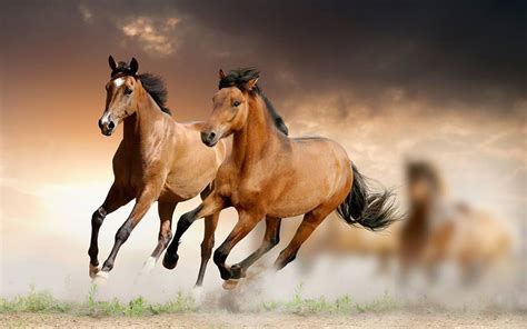 Фото Табун лошадей скачет в степи