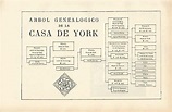 LAMINA ESPASA 1640: Arbol genealogico de la Casa de York von Varios ...