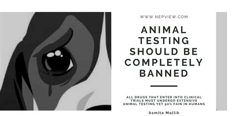 Animal Testing Should Be Banned Asummaryqd