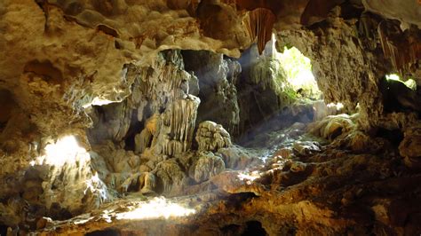 Wallpaper Cave Formation Stalactite Speleothem Stalagmite