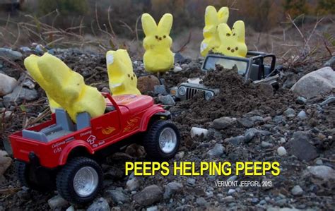 Pin By Tray On Peeps Jeep Memes Jeep Jeep Humor