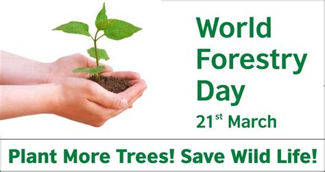 World Forestry Day 2024 21st March Theme Celebration Save Forest