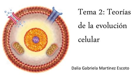 Teoria De La Evolucion De La Celula Compartir Celular
