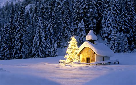 Winter Christmas Forest Wallpapers Wallpaper Cave