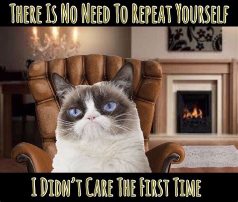 Grumpy Cat Says There Is No Need To Repeat Yourself I