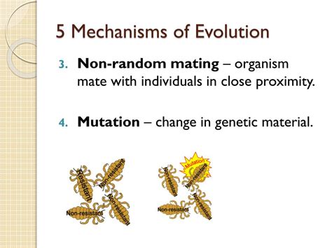 Ppt Evolution Powerpoint Presentation Free Download Id2100970