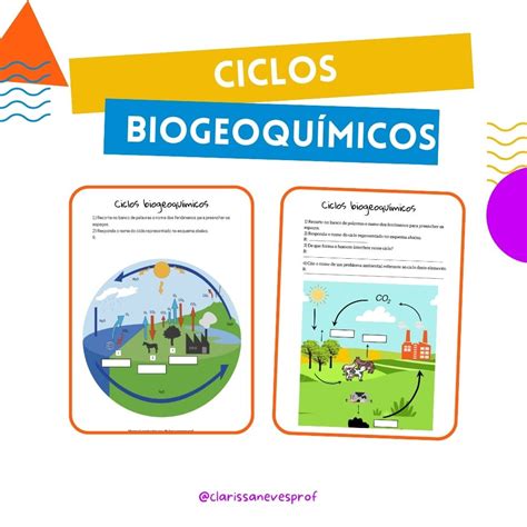 Ciclos Biogeoquímicos Loja Atividades Pedagógicas Clarissa Neves