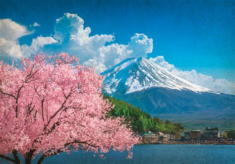 Cherry Blossom Trees In Front Of A Lake Mural Wallpaper TenStickers